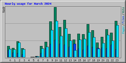 Hourly usage for March 2024